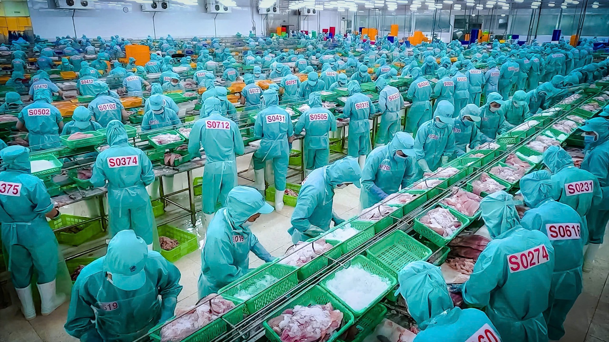 2003 – 2007 | Sao Mai quyết tâm thực hiện chiến lược trở thành Tập đoàn đa ngành